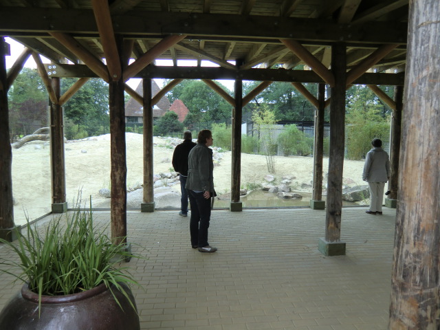 View on the new Lion Enclosure from below
