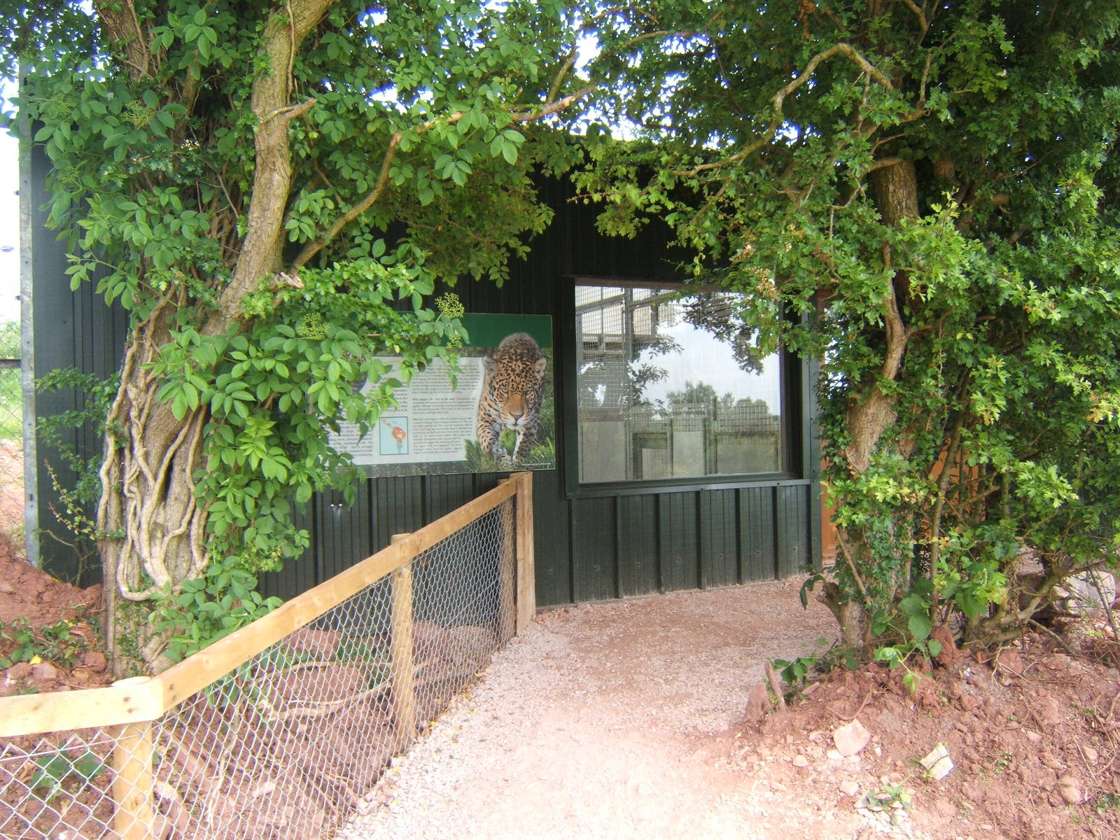 View on the viewing window into the inside of the Jaguar House