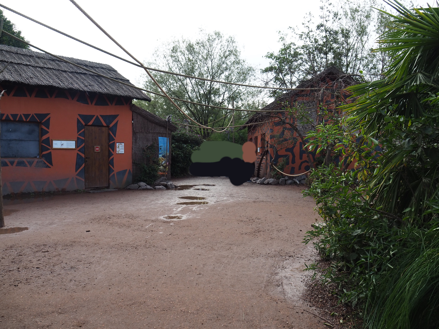 View on the walk-through lemur island, 2019-10-04