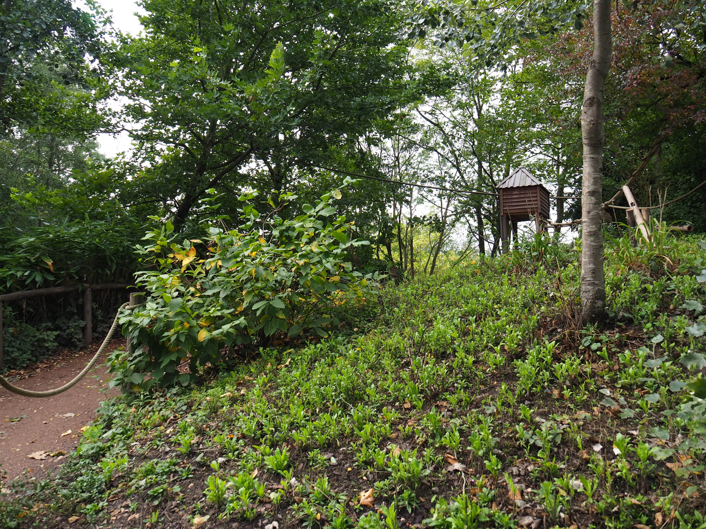 View on the walk-through lemur island, 2019-10-04