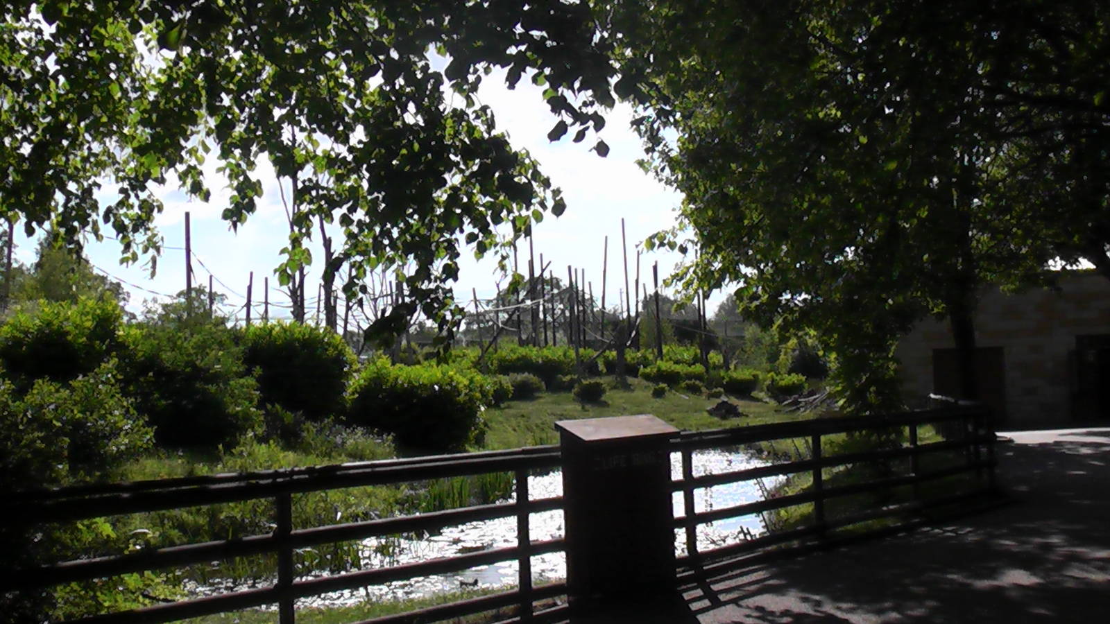 View onto Monkey Island 19.6.10