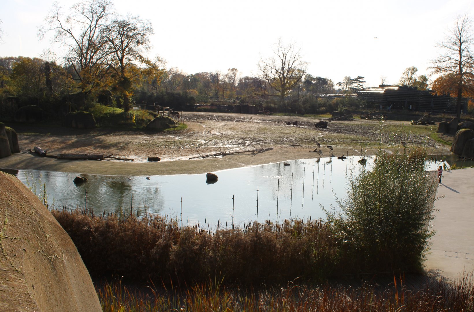 View onto the African savannah-enclosure