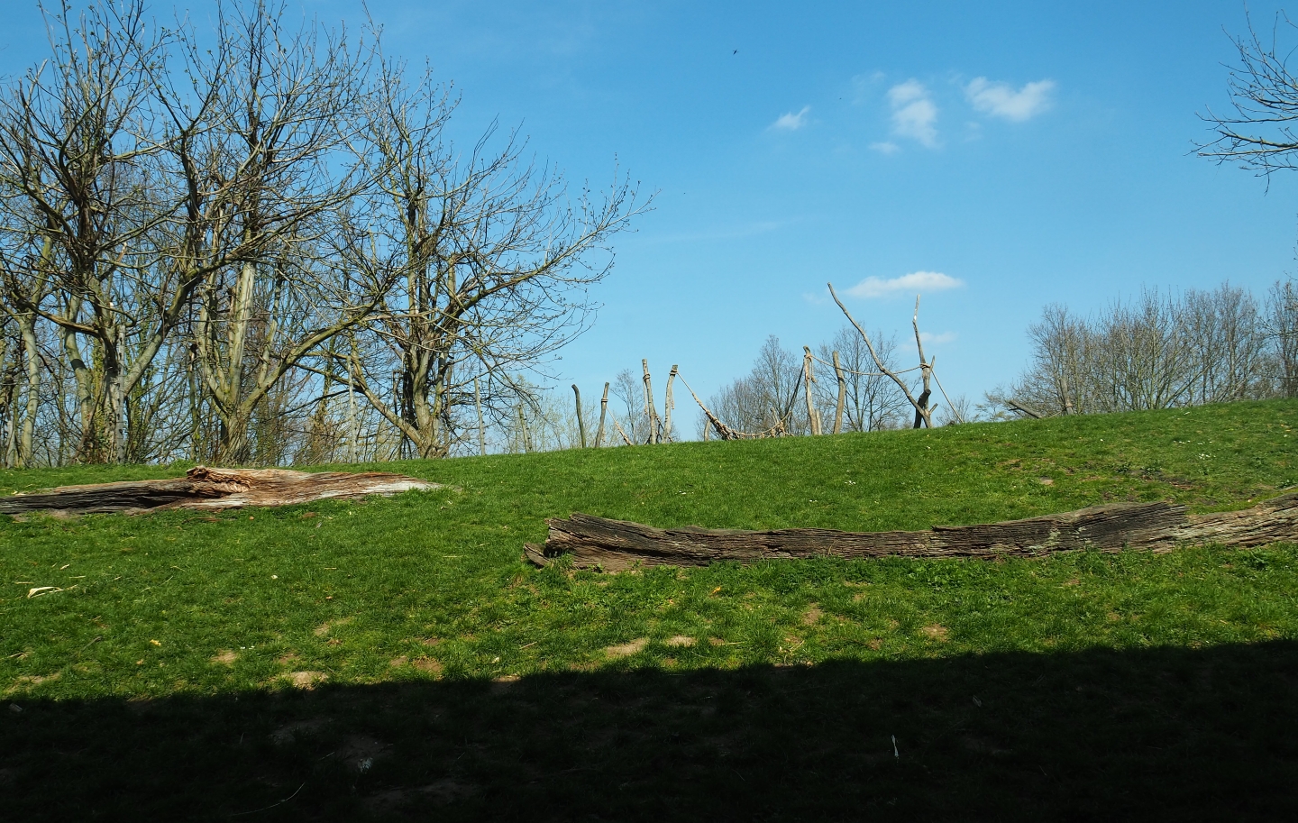 View onto the western lowland gorilla - black-crested mangabey island from the gorilla house viewing area, 2019-03-30