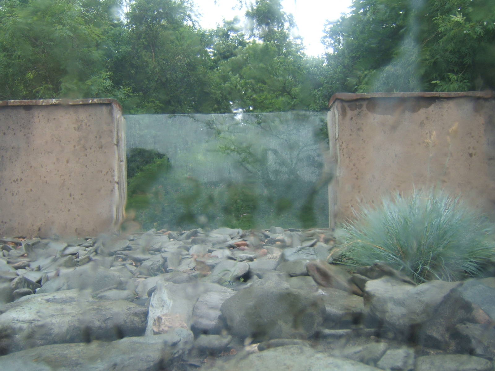View out of bubble in Meerkat enclosure