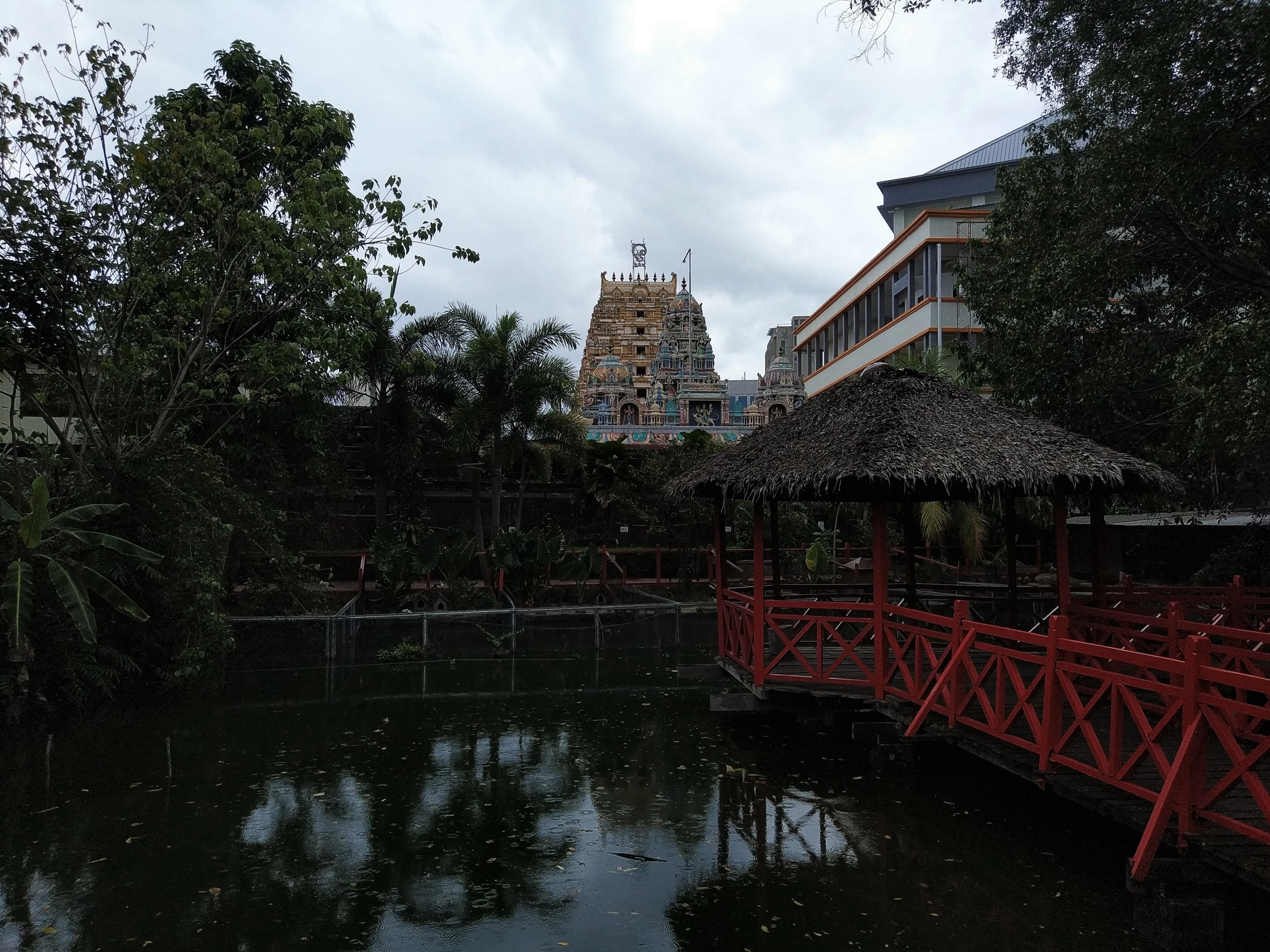 View out of the park