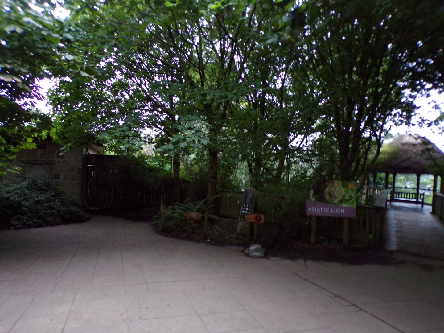 View outside lion enclosure in the evening 22.7.23