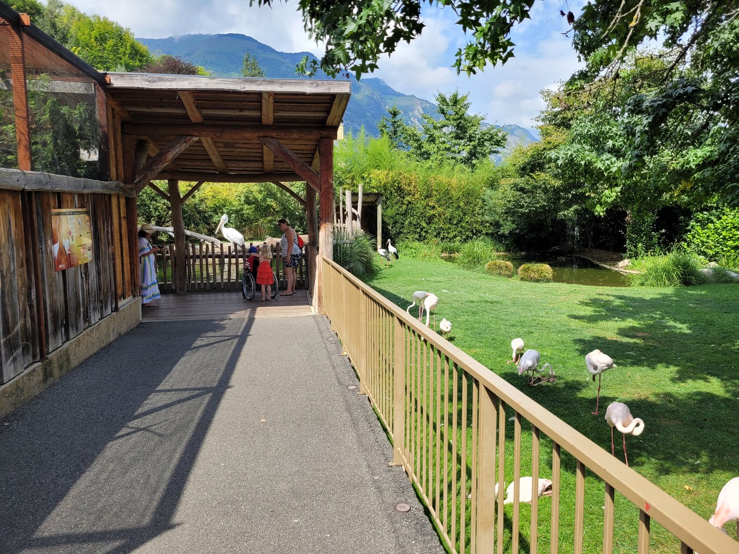 View outside of the aviary -Parc Animalier des Pyrénées (2023)