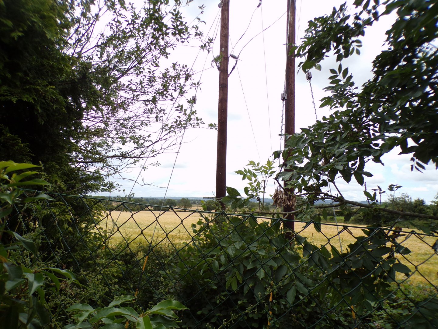 View outside of the zoo 7.7.24