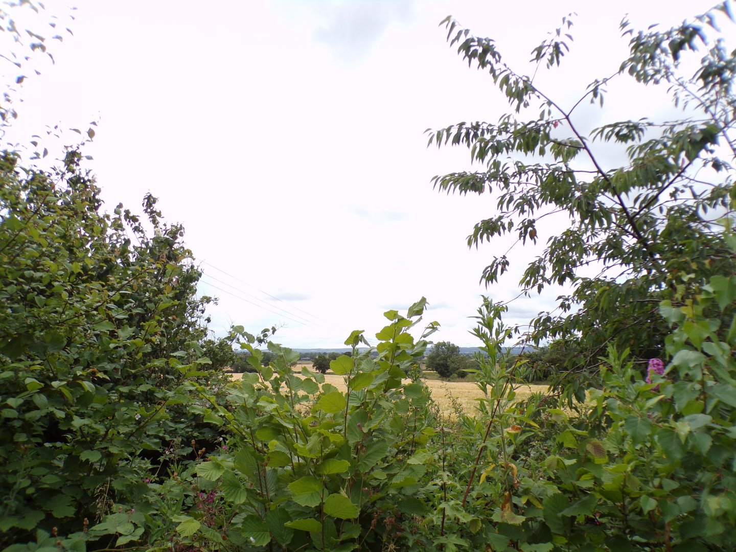 View outside of the zoo 7.7.24