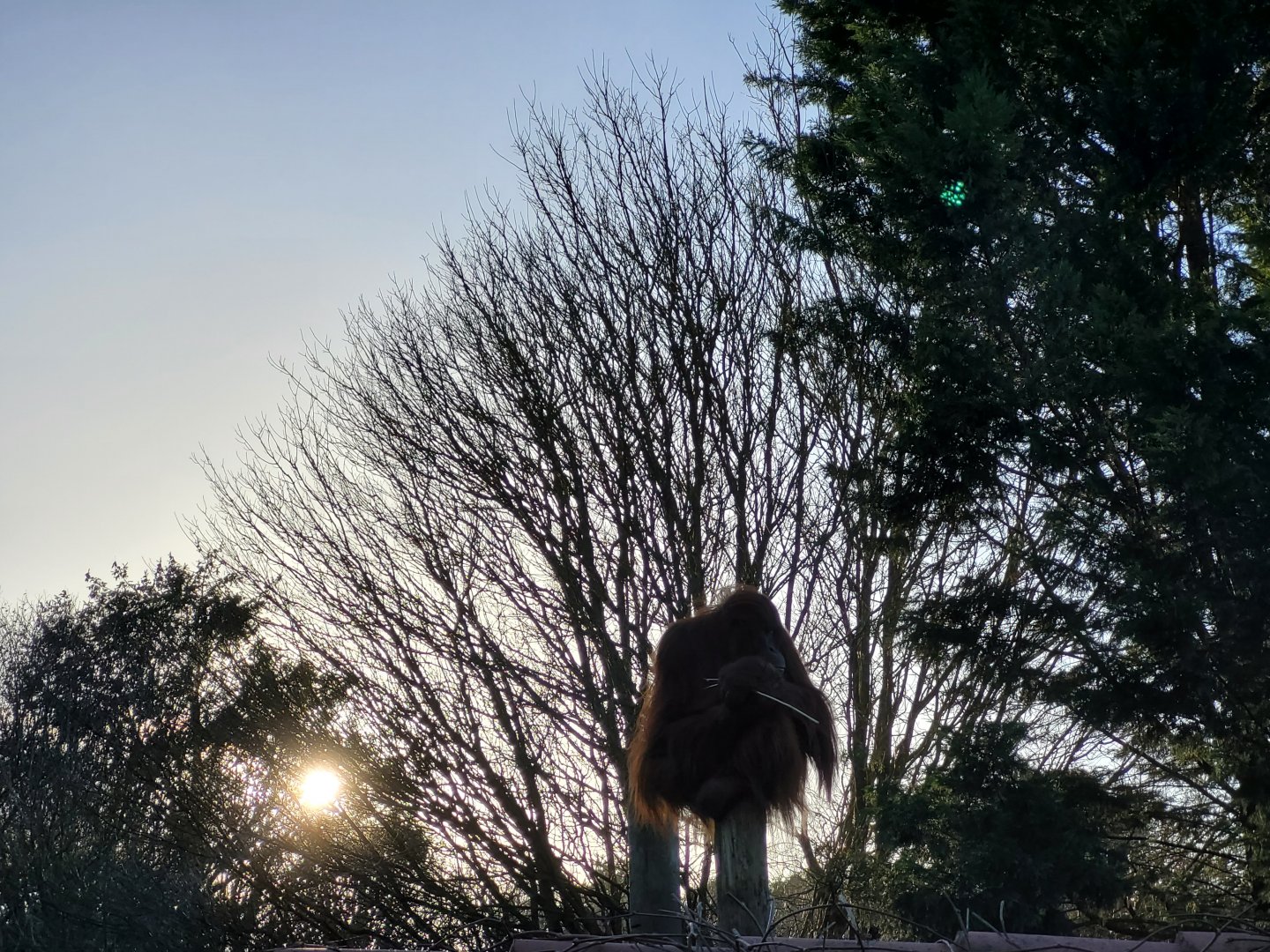 View outside the "AcuaTerrario" -Zoo de Santillana del Mar (2023)