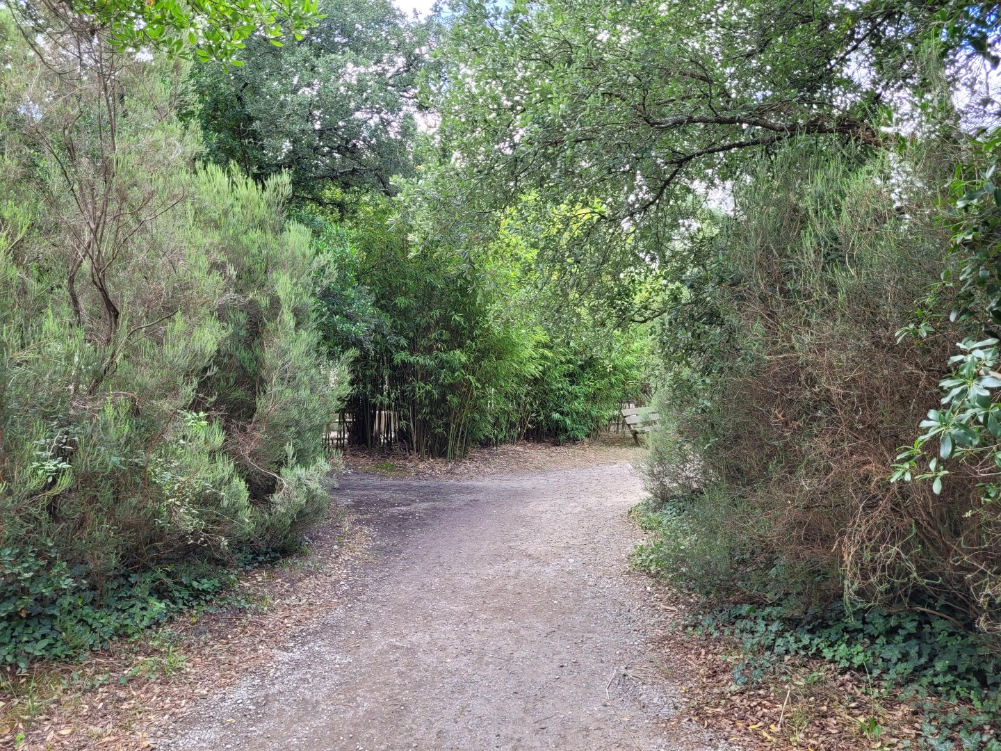 View outside the aviary -Zoo de Labenne (2024)