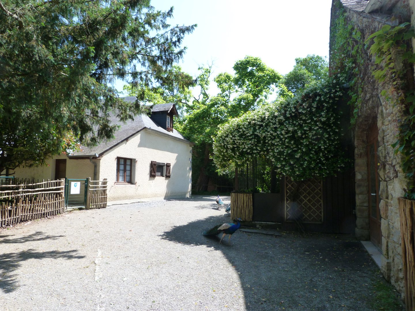 View outside walkthrough aviaries -Zoo d'Asson (2025)