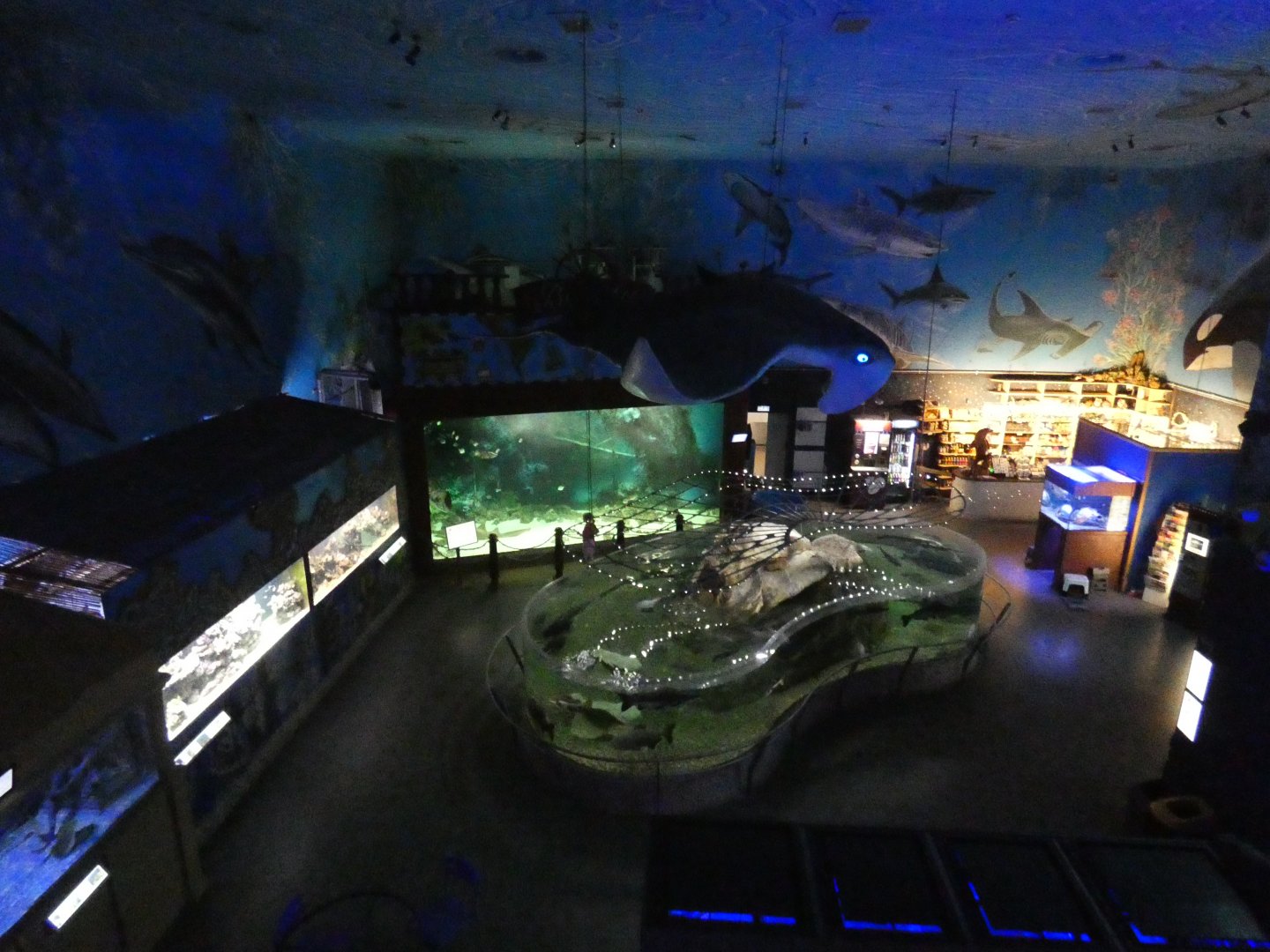 View over aquarium