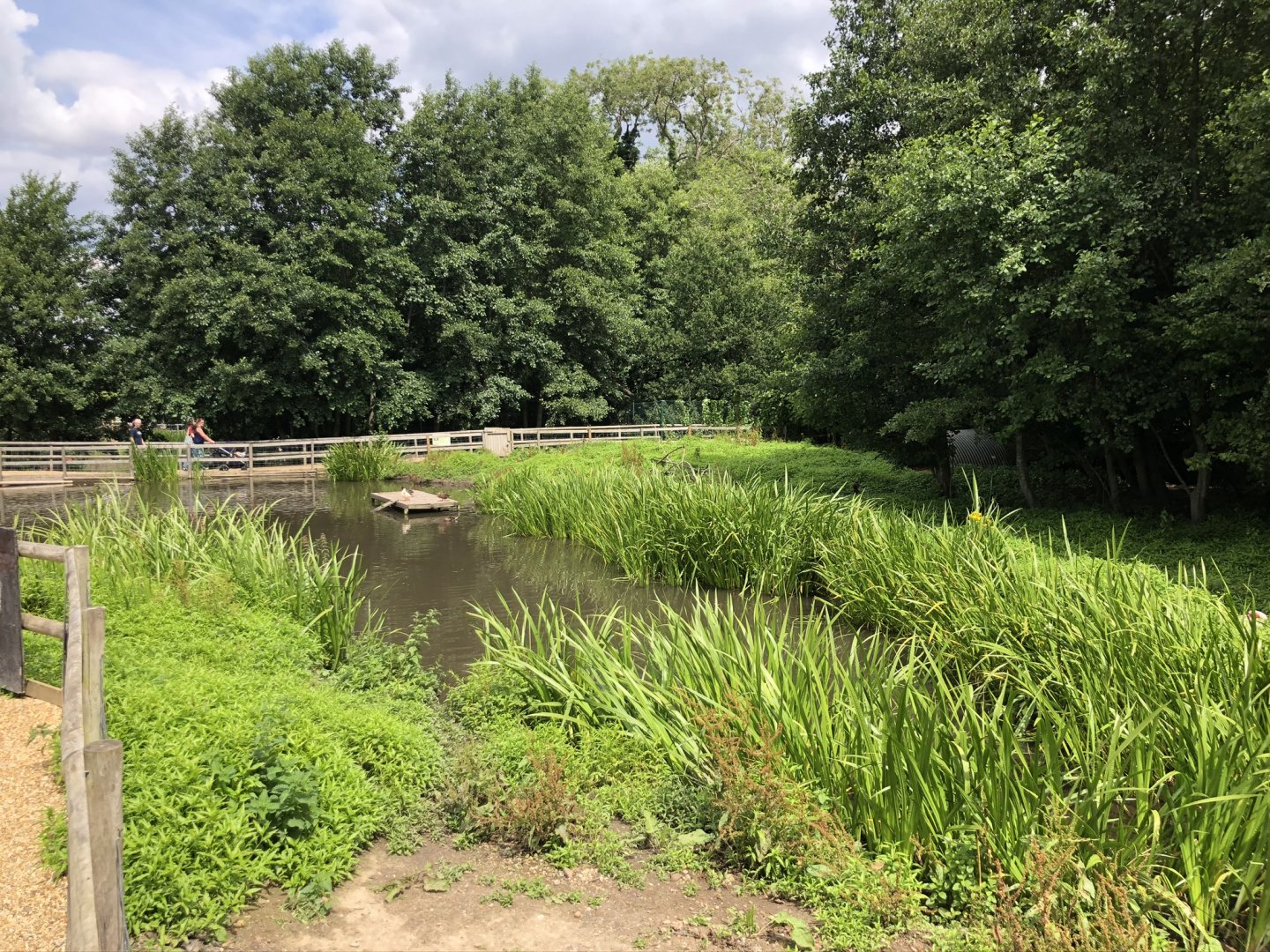 View over capybara enclosure