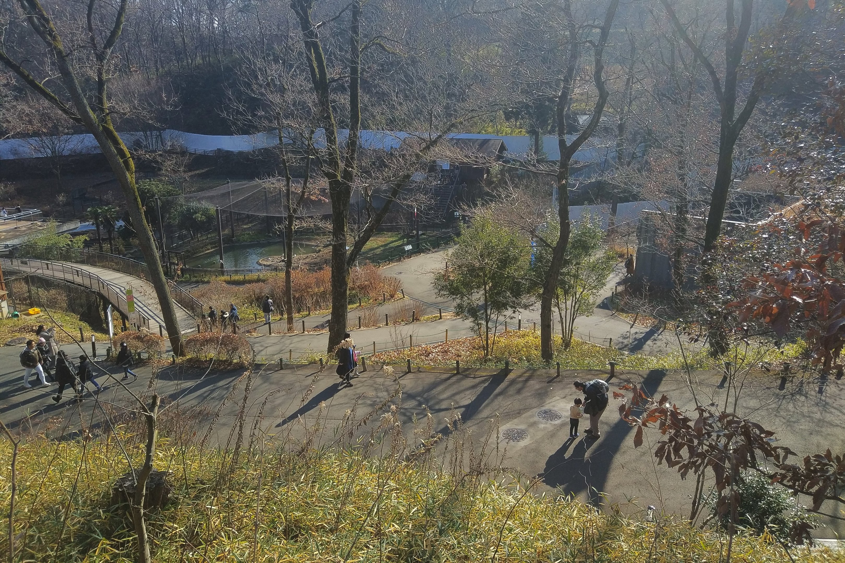 View Over Central Valley