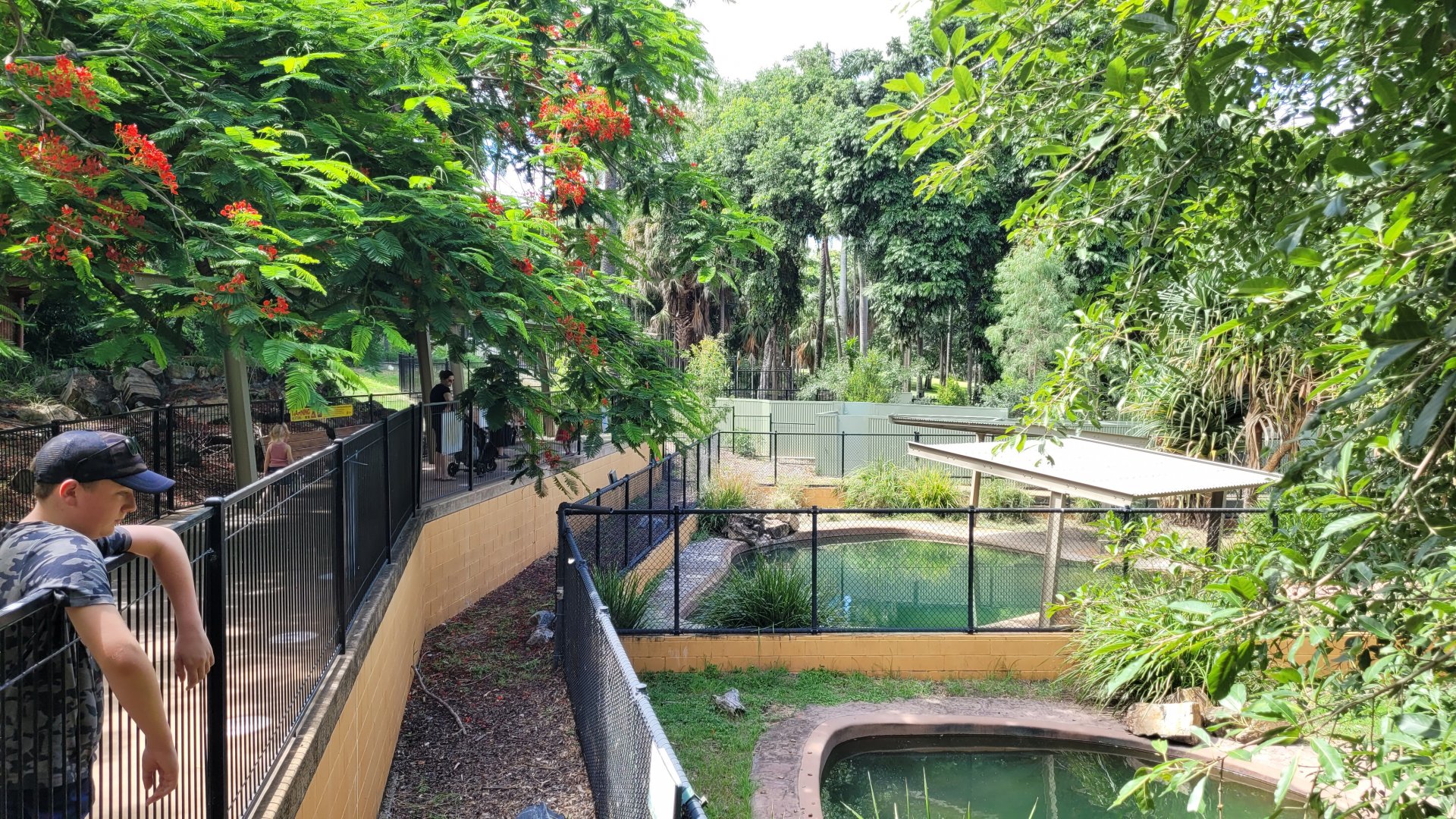 view over crocodiles enclosures - both fresh and salt water