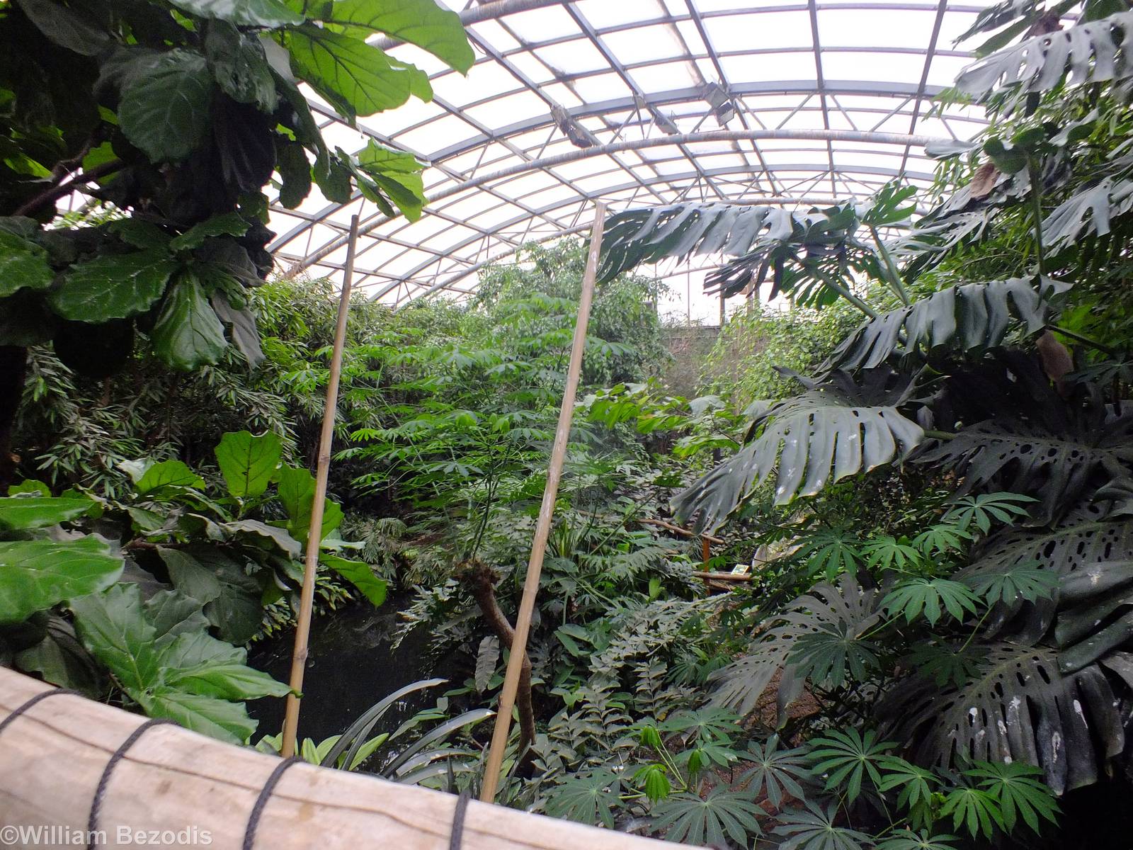 View over Free-flight Bird Building