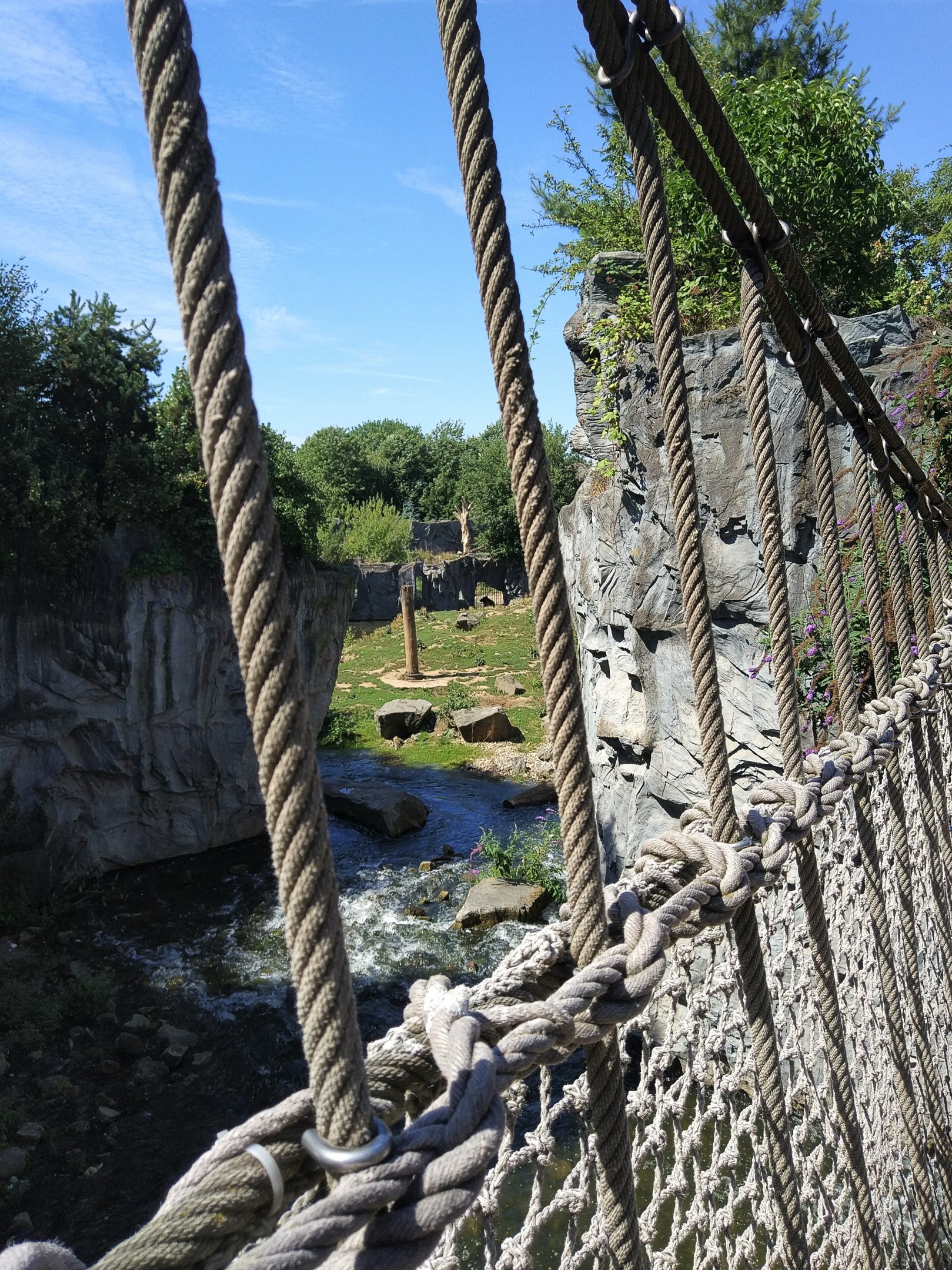 View over Kodiak Bear exhibit