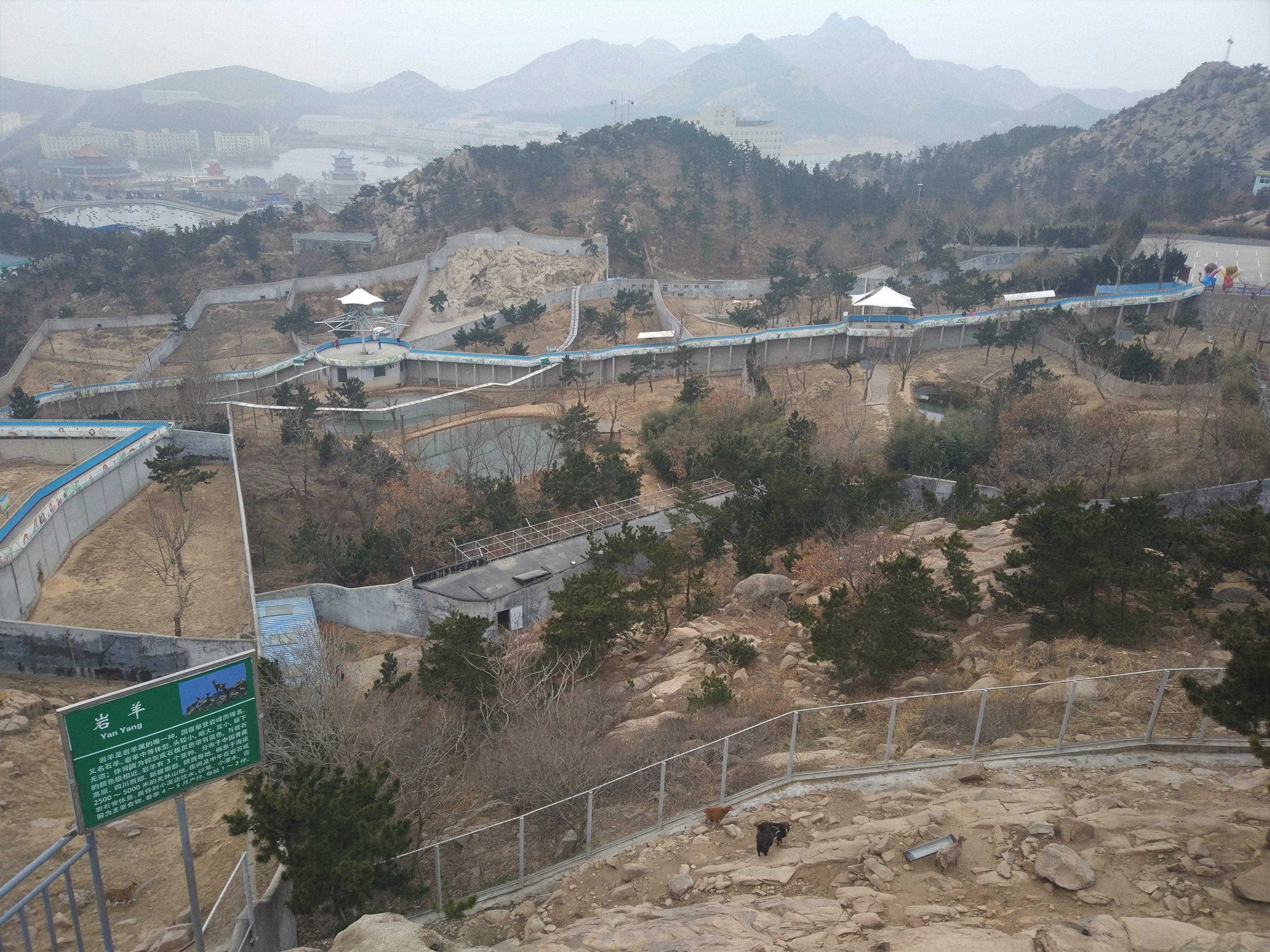View Over Large Carnivore Complex (with bharal in foreground)