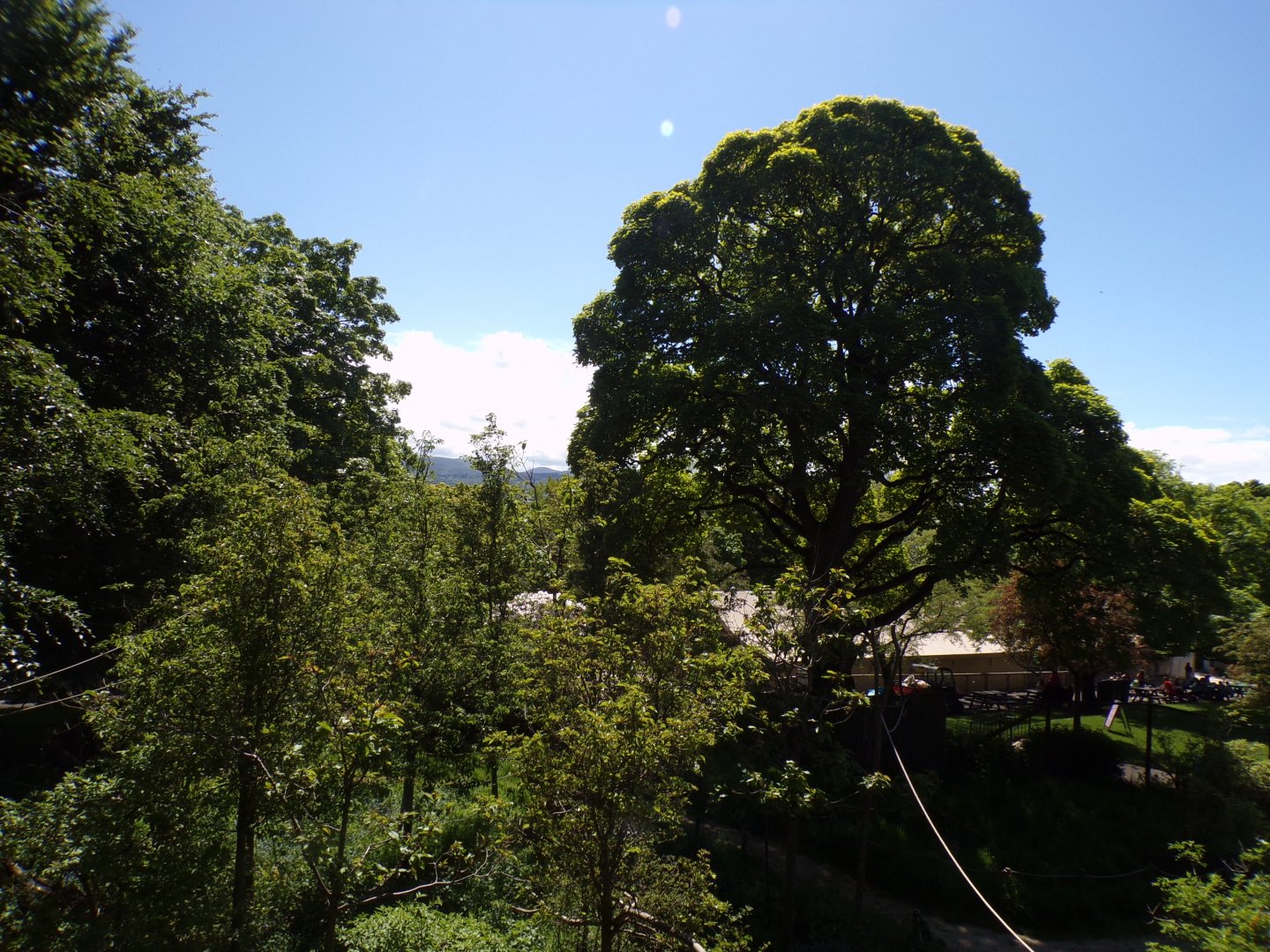 View over lemur enclosure 20.5.24