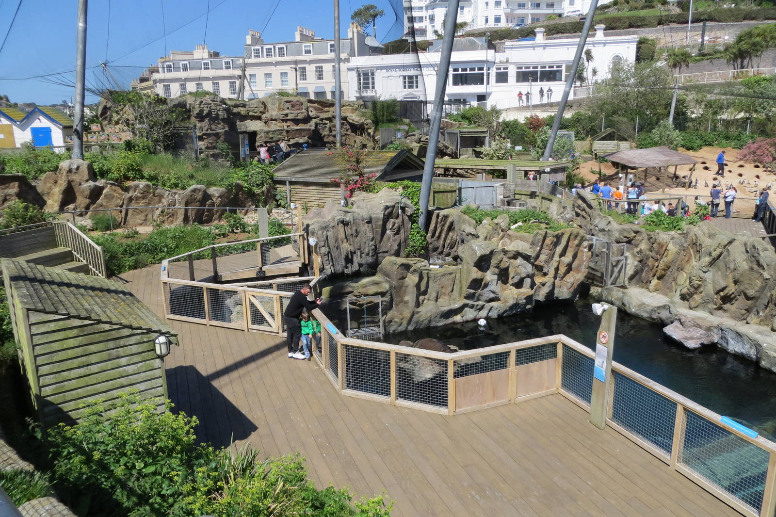 View over Living Coasts 160515