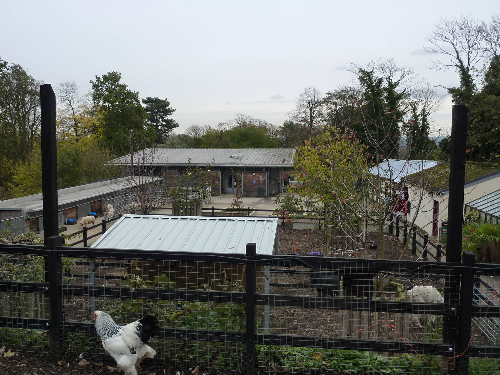 View over lower farmyard, 6th November 2012.