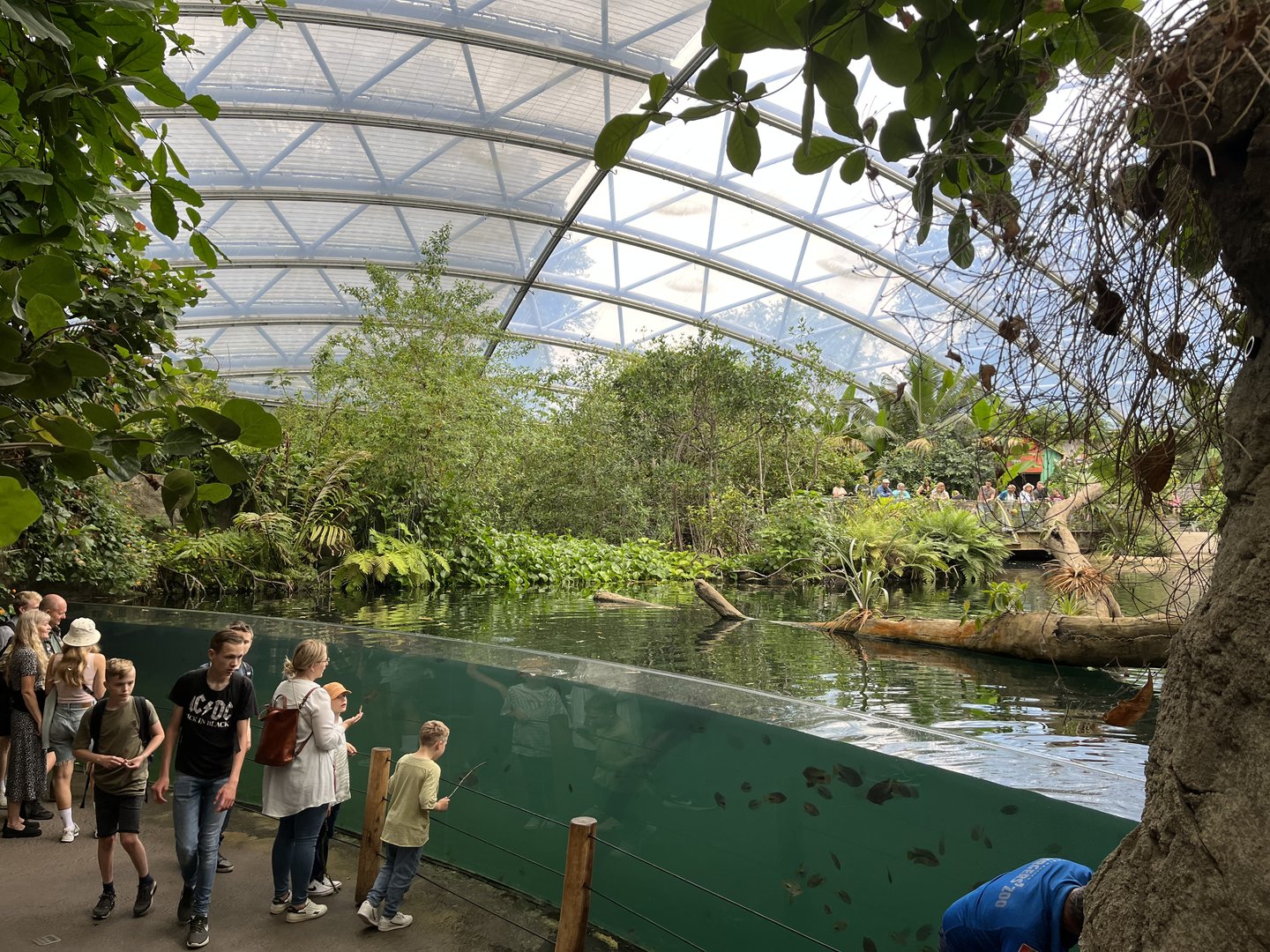 View over Manatee pool and the Mangrove 6.7.23