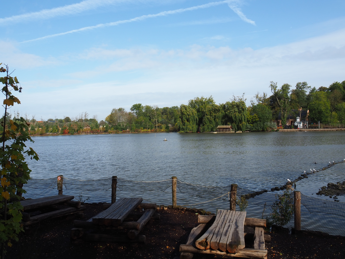 View over one of the lakes at Pairi Daiza, 2019-10-04