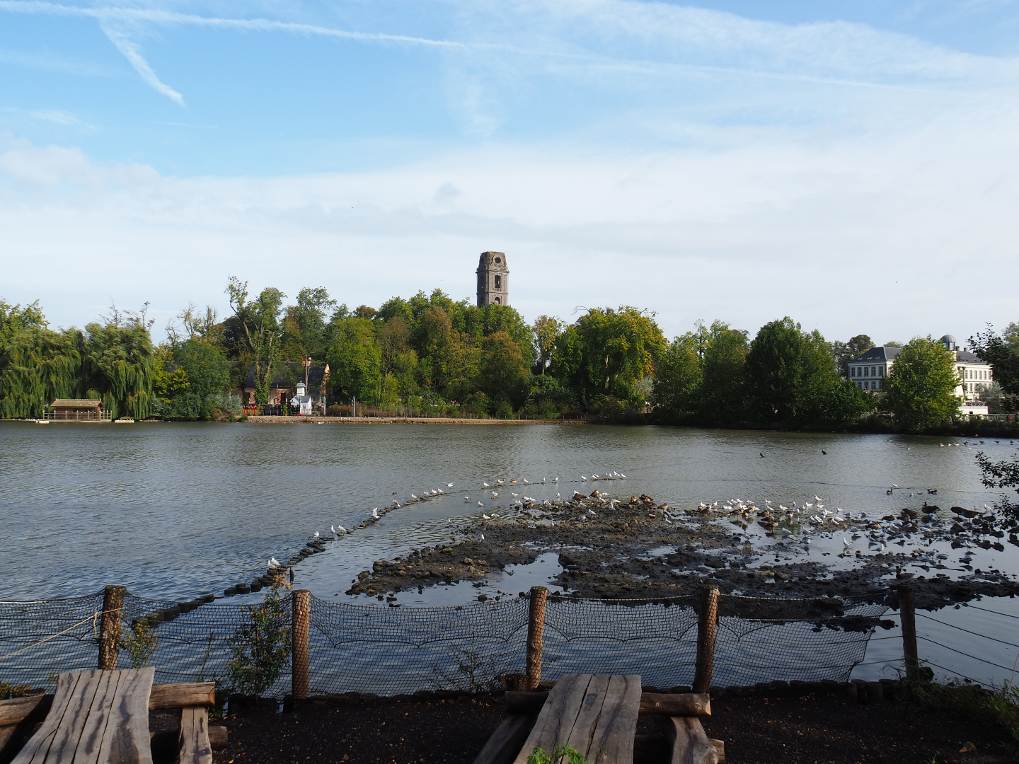 View over one of the lakes at Pairi Daiza - With old abbey tower, 2019-10-04