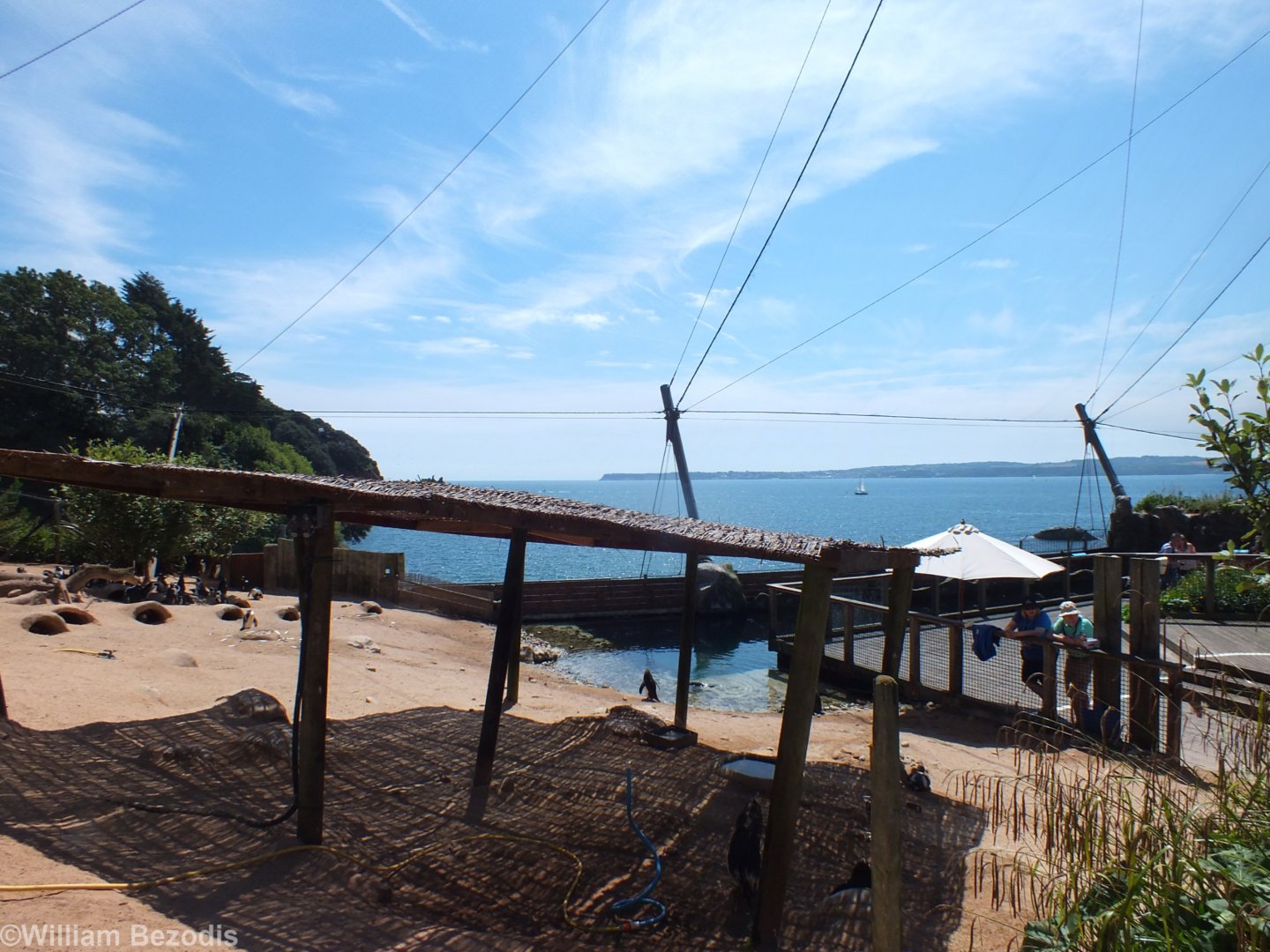 View Over Penguin Beach to Tor Bay Beyond