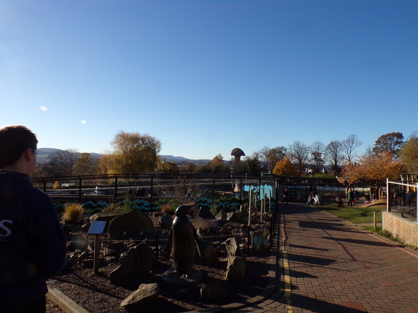 View over penguin enclosure 11.11.23