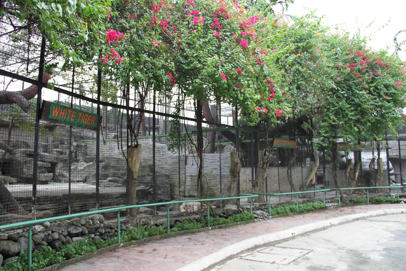 View over some of the carnivores' exhibits