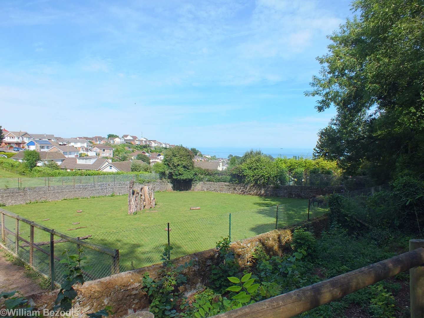View over Takin Enclosure to Sea Beyond