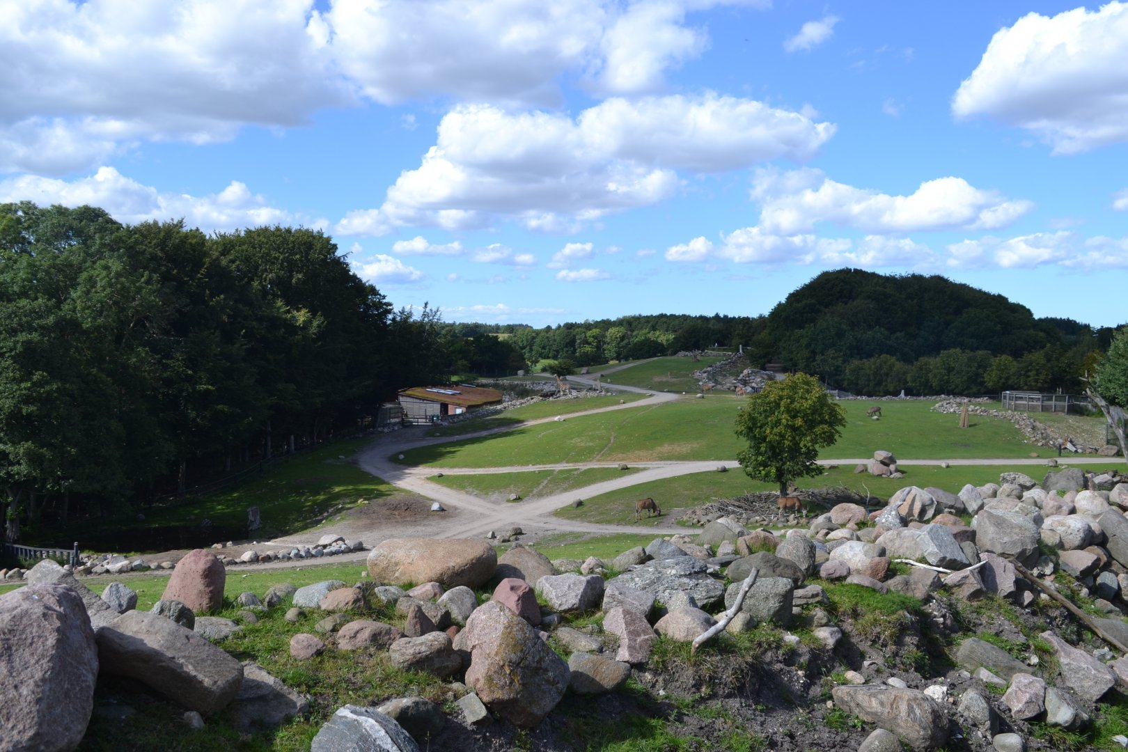 View over the 10 hectare savannah in Ree Park