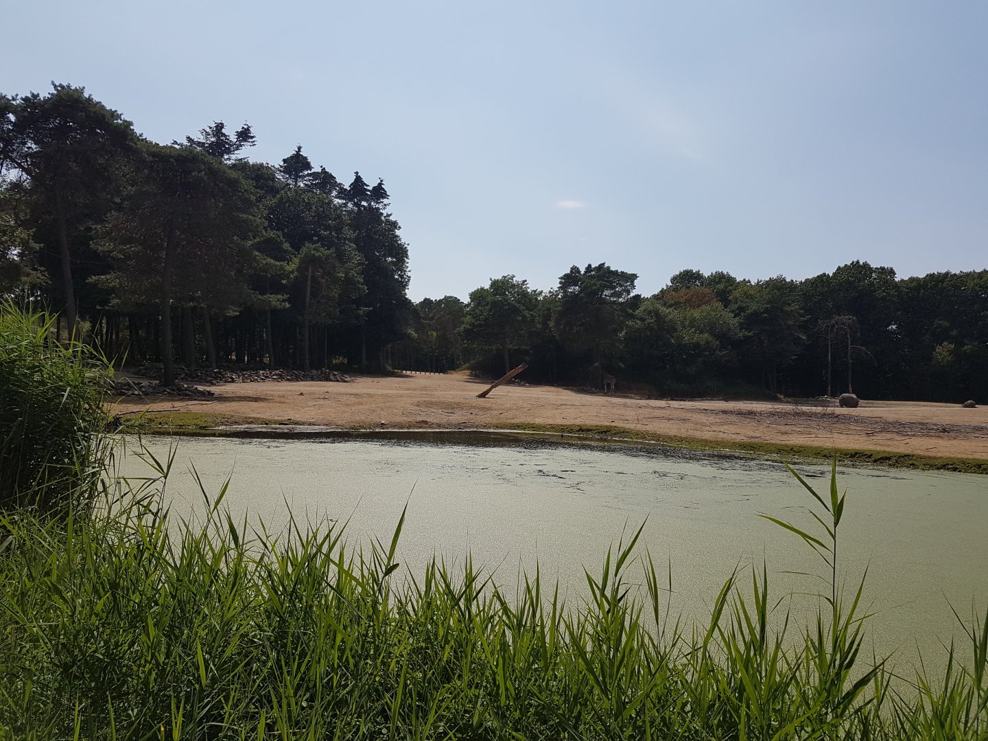 View over the African Savanna