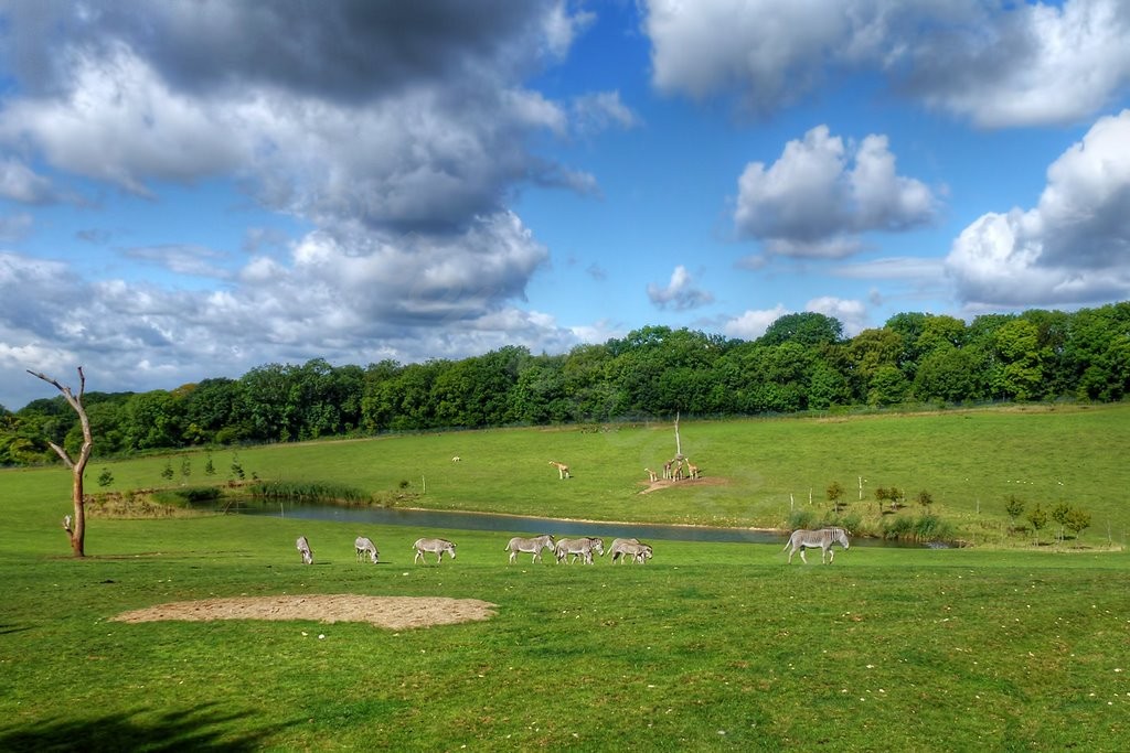 View over the African Valley