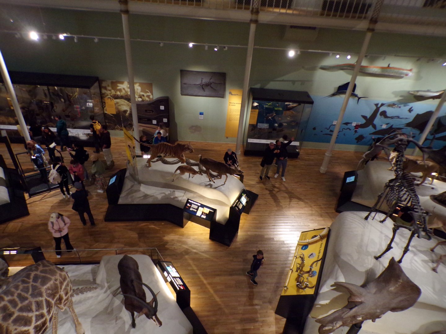 View over the bottom floor 26.8.23