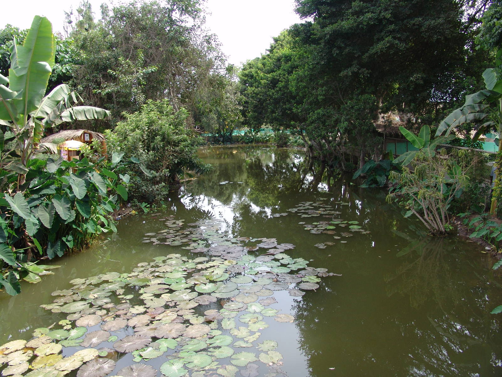 View over the central lake