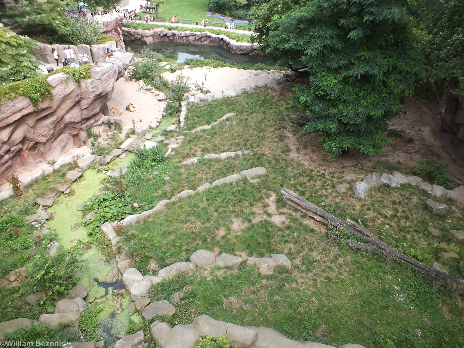 View over the Lion Enclosure from Above