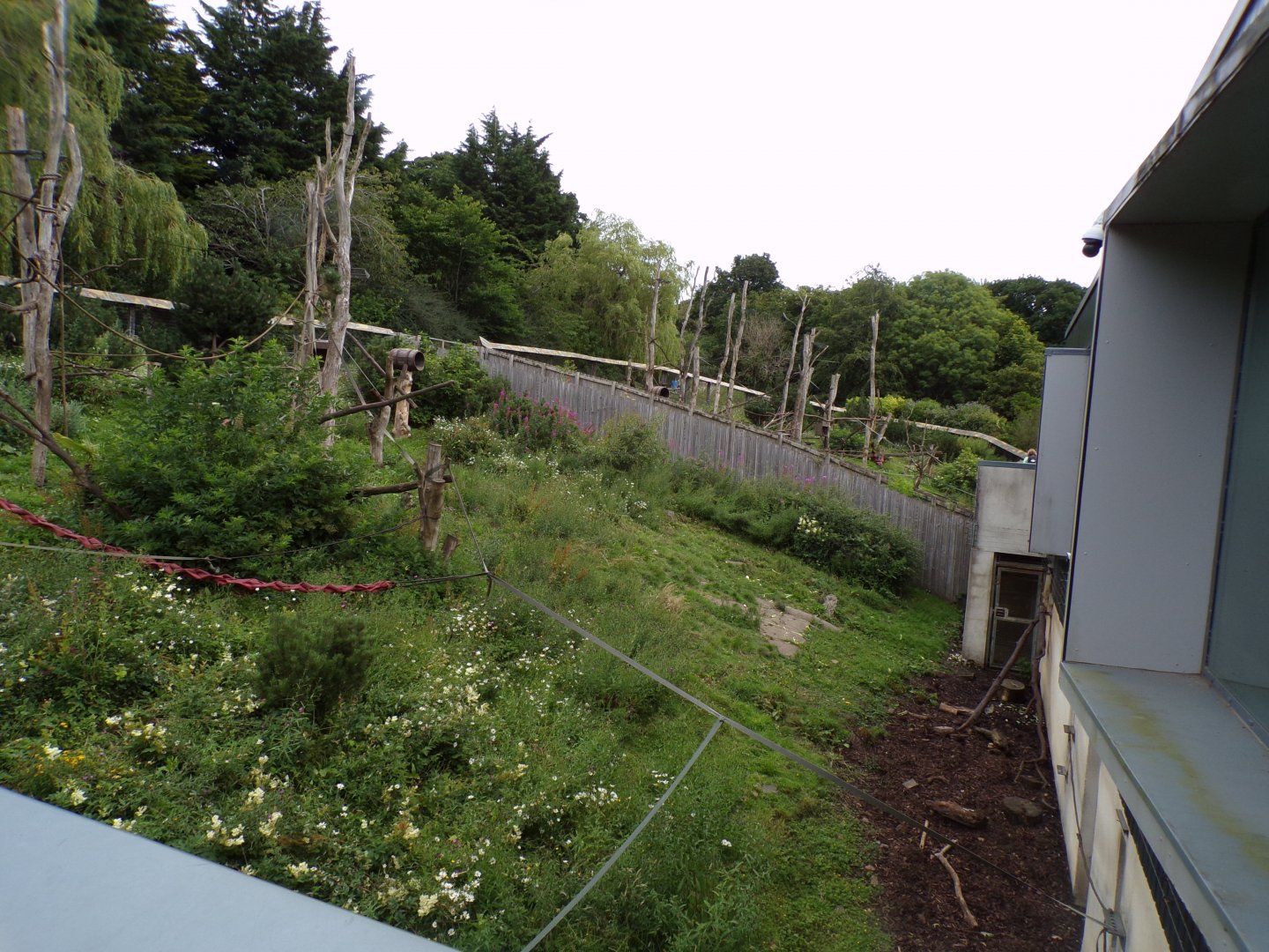 View over the Living Links enclosure 18.7.23