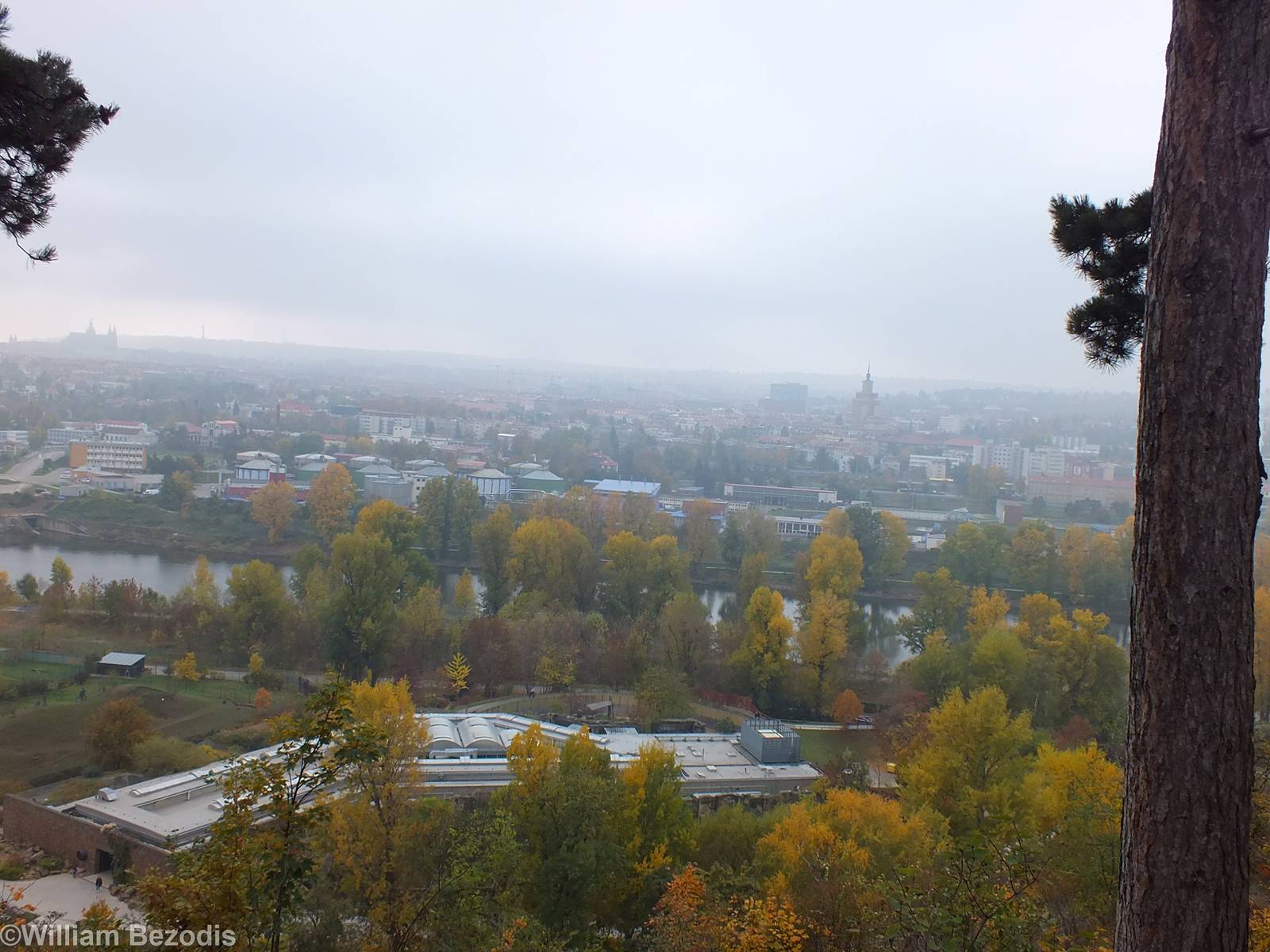 View over the Lower Part of the Zoo and the City Beyond