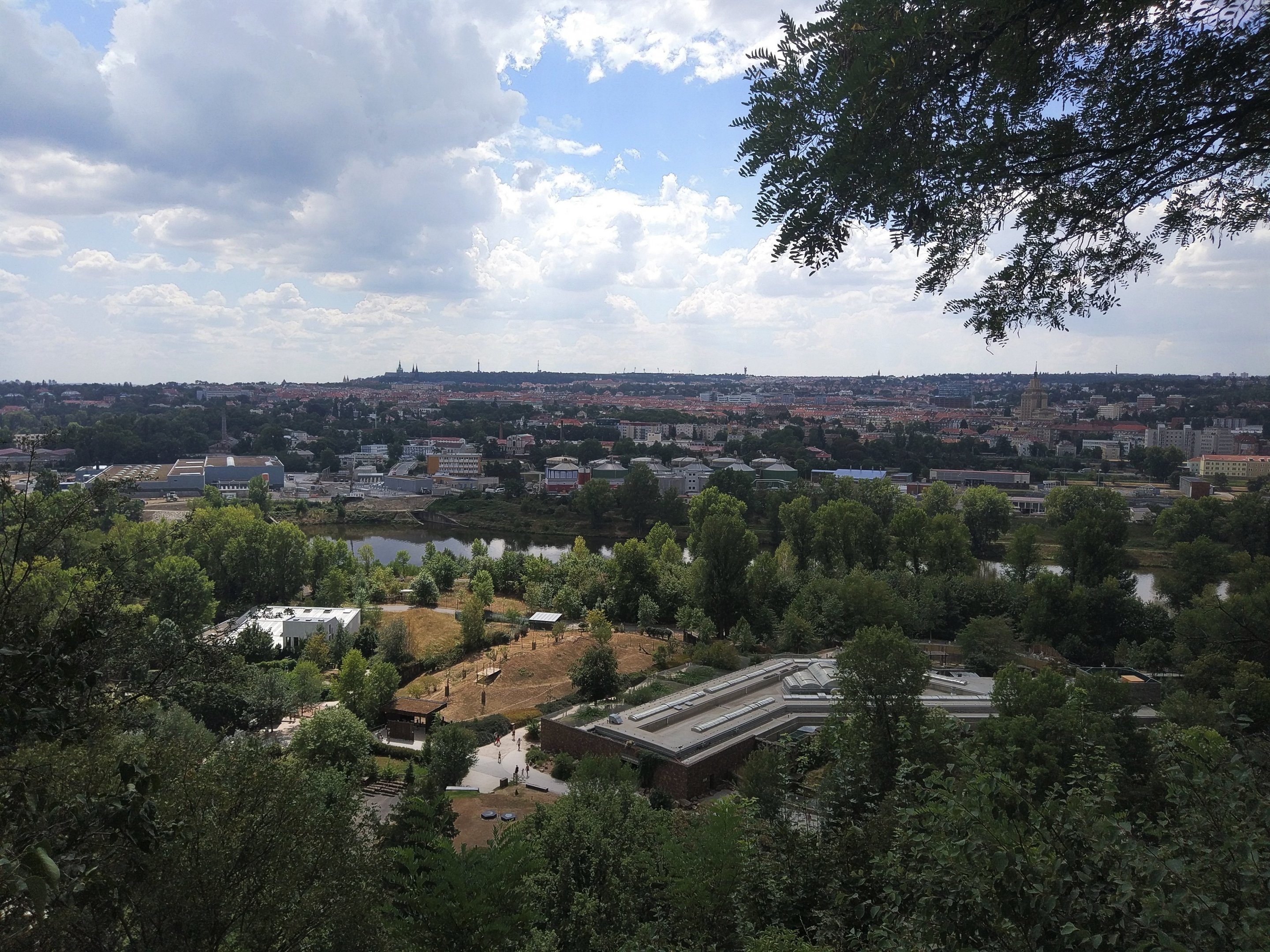 View over the Lower Zoo and Wider City