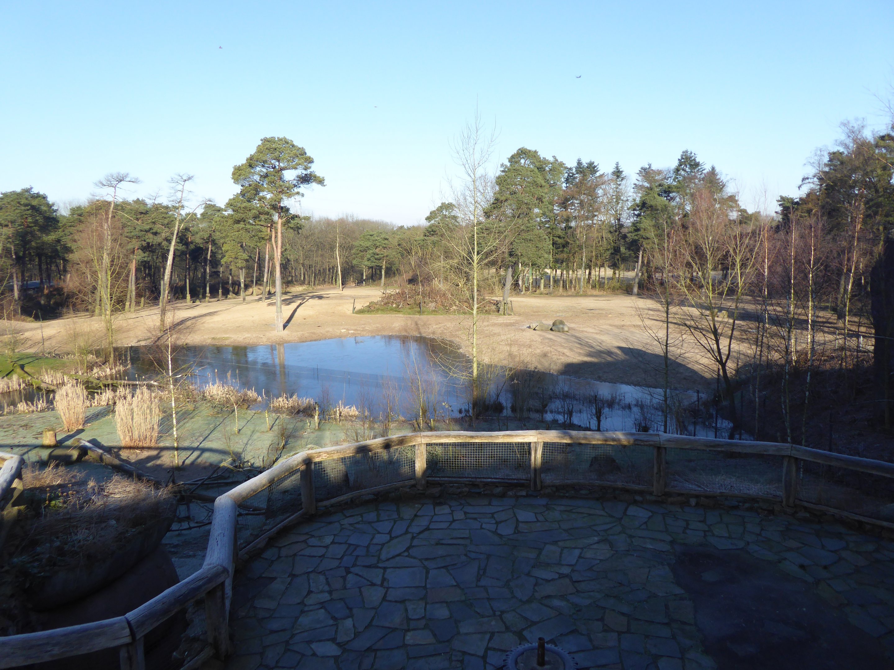 View over the main mixed paddock within Safari