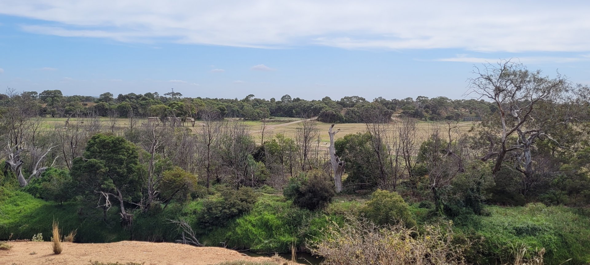 View over the main Savanah from outside the Zoo