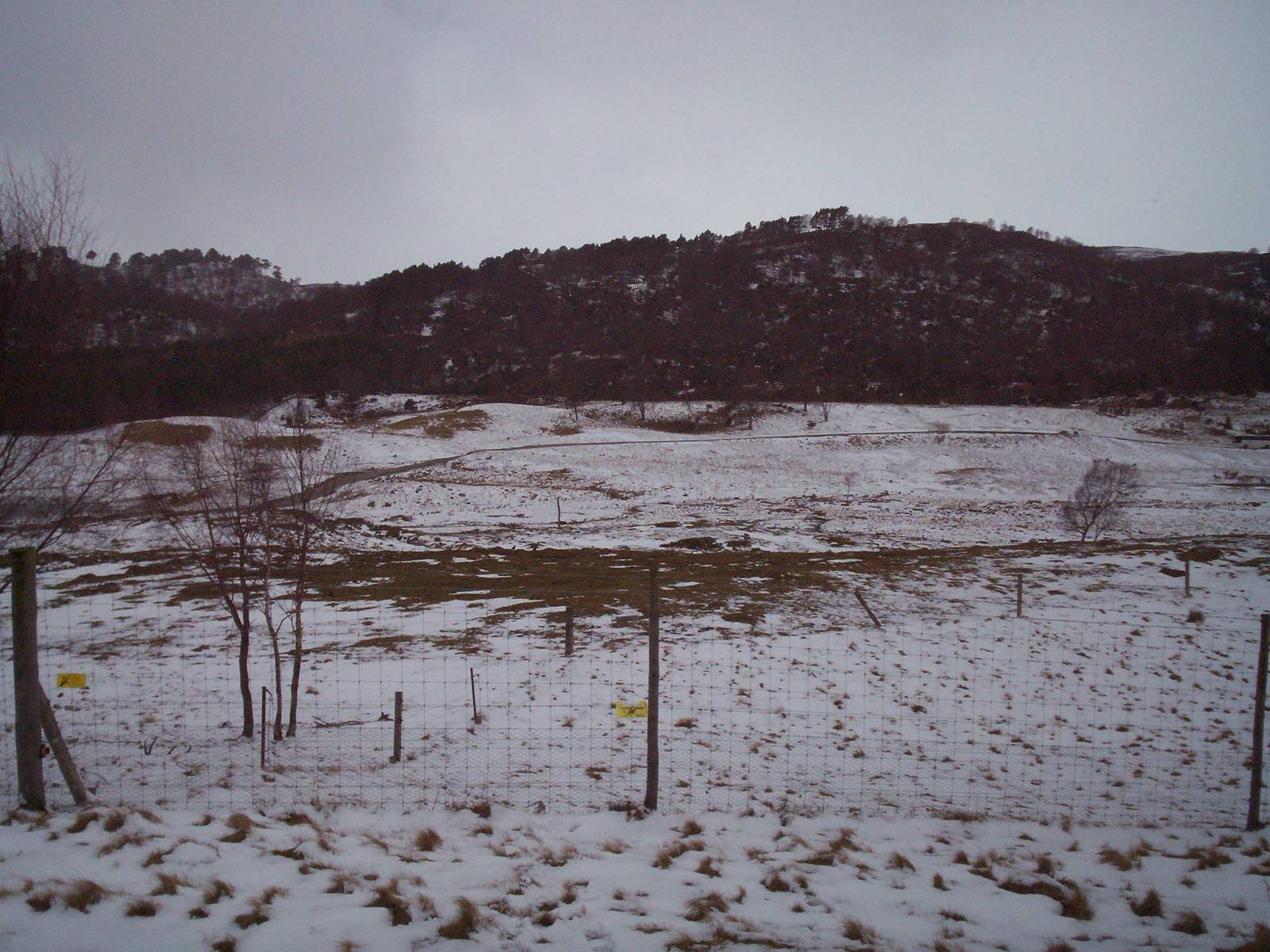 View over the reserve at HWP