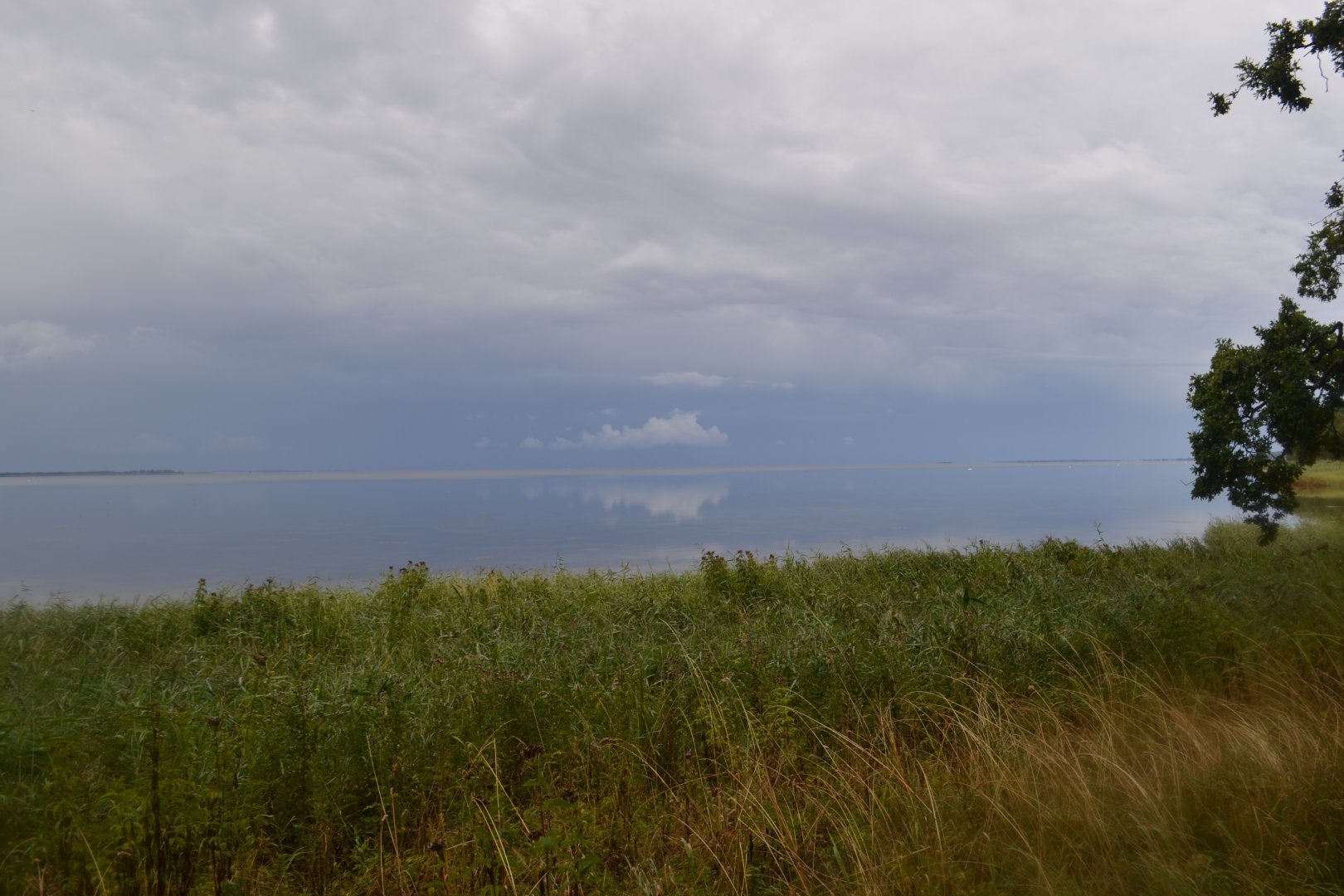 View over the sea from Knuthenborg Safaripark