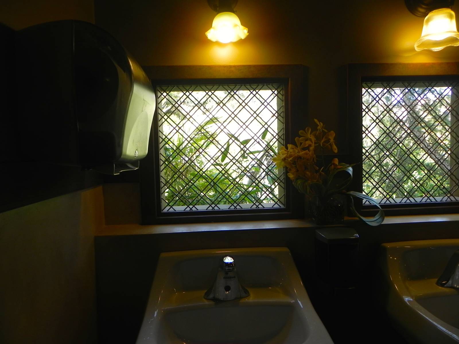 View over the sink in Ladies room