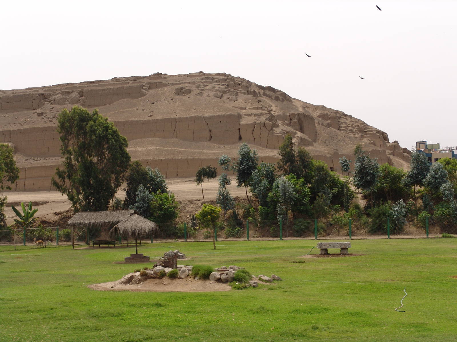 View over the "South American Camels" Enclosure