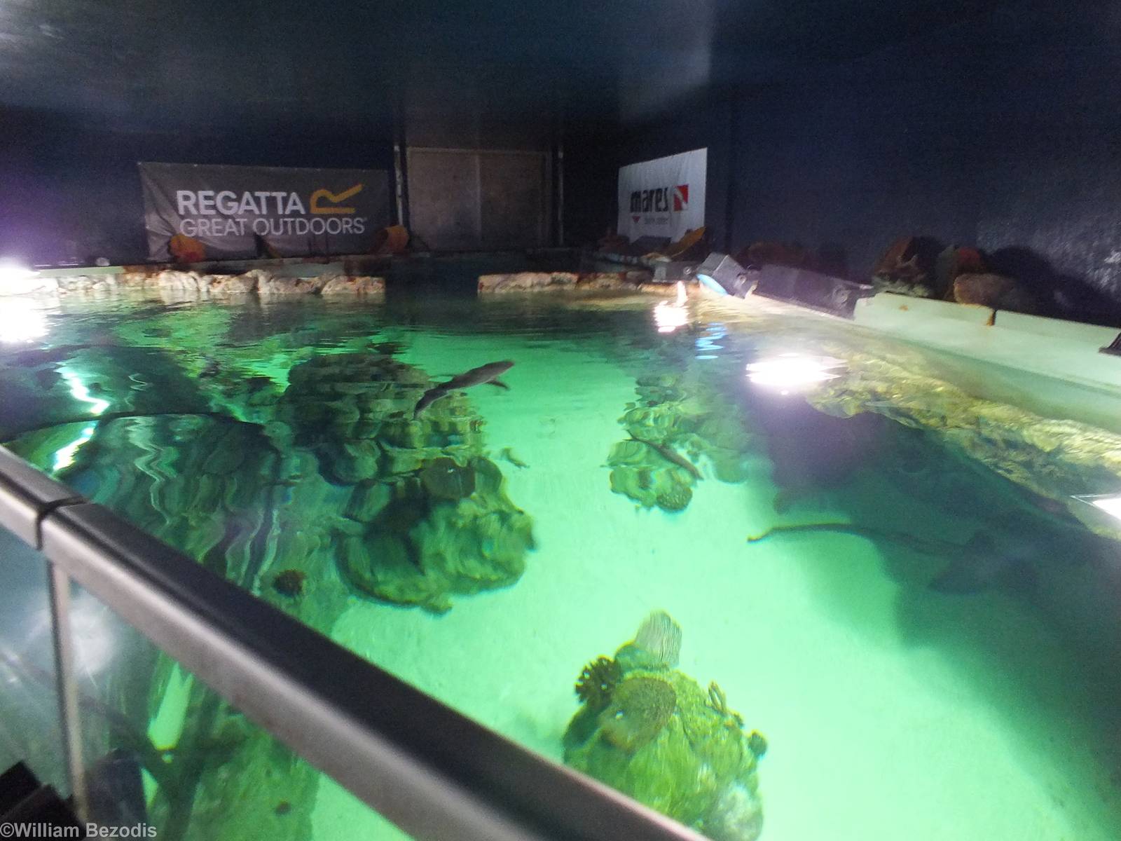 View over the top of the main Shark and Turtle Tank