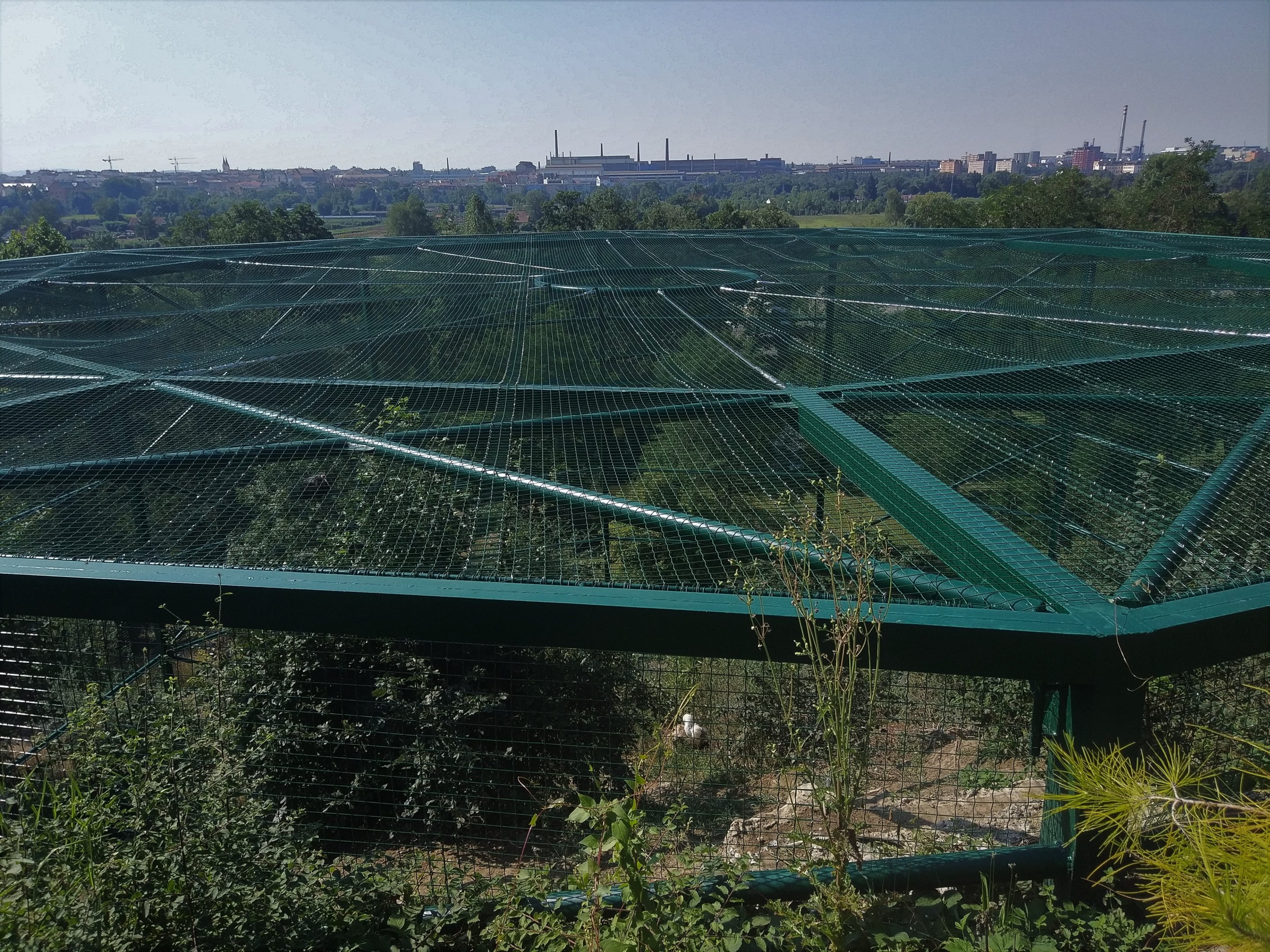 View over the Vulture Aviary